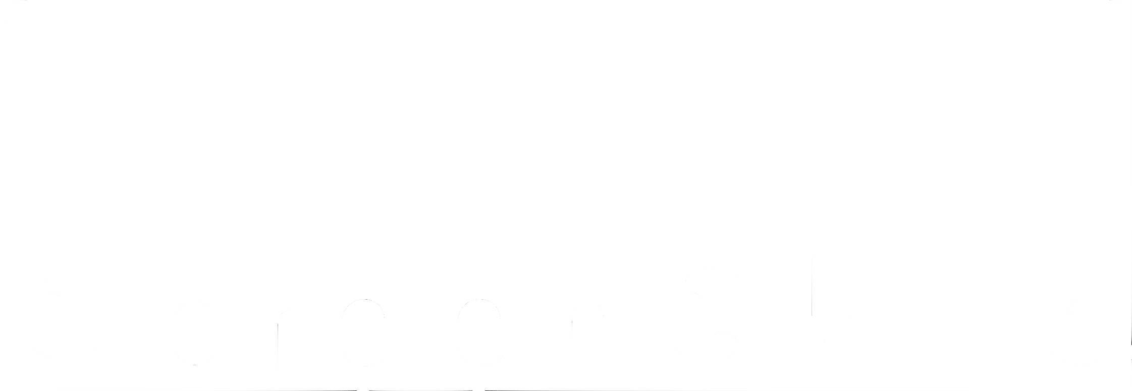 ScreenSkills logo